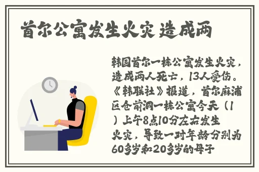 国产精品无码AV无码